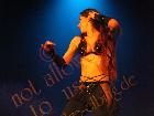 Galerie BD2001-0107.jpg anzeigen.
