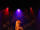 Galerie BD2001-0827.jpg anzeigen.