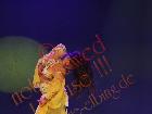 Galerie BD2001-2368.jpg anzeigen.