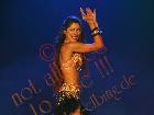 Galerie BD2001-3148.jpg anzeigen.