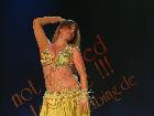 Galerie BD2001-4052.jpg anzeigen.