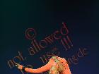 Galerie BD2001-4315.jpg anzeigen.