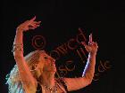 Galerie BD2005-1516.jpg anzeigen.