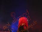 Galerie BD2008-1289.jpg anzeigen.