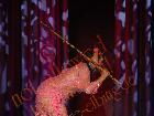 Galerie BD2012-0189.jpg anzeigen.