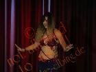 Galerie BD2012-0729.jpg anzeigen.