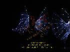 Galerie BD2012-1057.jpg anzeigen.