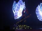Galerie BD2012-1058.jpg anzeigen.