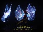 Galerie BD2012-1073.jpg anzeigen.