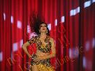 Galerie BD2012-1102.jpg anzeigen.