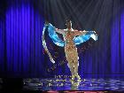 Galerie BD2012-1216.jpg anzeigen.