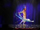 Galerie BD2012-1244.jpg anzeigen.