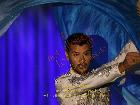 Galerie BD2012-1341.jpg anzeigen.