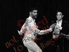 Galerie BD2012-1408.jpg anzeigen.