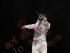 Galerie BD2012-1432.jpg anzeigen.