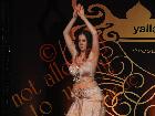 Galerie BD2013-0229.jpg anzeigen.