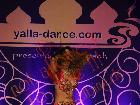 Galerie BD2013-0645.jpg anzeigen.