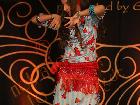 Galerie BD2013-0895.jpg anzeigen.