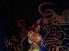 Galerie BD2013-1000.jpg anzeigen.