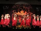 Galerie BD2013-1176.jpg anzeigen.