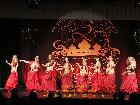 Galerie BD2013-1179.jpg anzeigen.