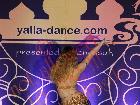 Galerie BD2013-1227.jpg anzeigen.