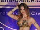 Galerie BD2013-1239.jpg anzeigen.