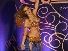 Galerie BD2013-1259.jpg anzeigen.