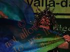 Galerie BD2013-1426.jpg anzeigen.