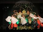 Galerie BD2013-1498.jpg anzeigen.