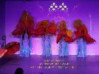 Galerie BD2015-0169.jpg anzeigen.