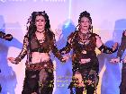 Galerie BD2015-0555.jpg anzeigen.