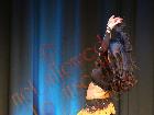 Galerie BD2017-0240.jpg anzeigen.