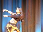 Galerie BD2017-0243.jpg anzeigen.
