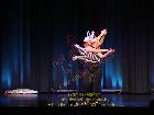 Galerie BD2017-1000.jpg anzeigen.