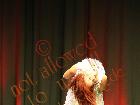 Galerie BD2017-1624.jpg anzeigen.