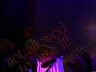 Galerie BD2030-0569.jpg anzeigen.
