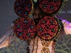 Galerie BD2035-3515.jpg anzeigen.
