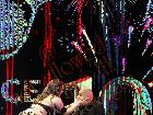 Galerie BD2039-0355.jpg anzeigen.