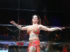 Galerie BD2040-0167.jpg anzeigen.