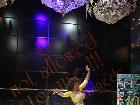 Galerie BD2040-1266.jpg anzeigen.