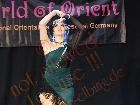 Galerie BD2049-0946.jpg anzeigen.