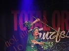 Galerie BD2061-0795.jpg anzeigen.