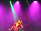 Galerie BD2109-0177.jpg anzeigen.