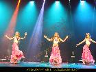Galerie BD2110-0021.jpg anzeigen.