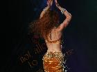 Galerie BD2218-0230.jpg anzeigen.