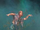 Galerie BD2265-2479.jpg anzeigen.