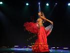 Galerie BD2285-2211.jpg anzeigen.