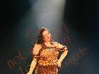Galerie BD2285-2652.jpg anzeigen.