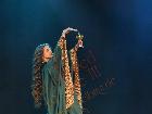 Galerie BD2287-1916.jpg anzeigen.